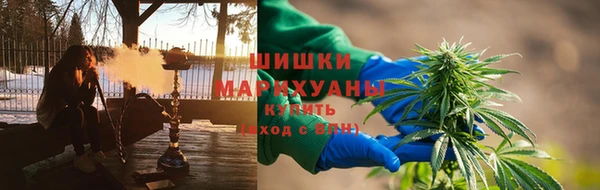 PSILOCYBIN Осинники
