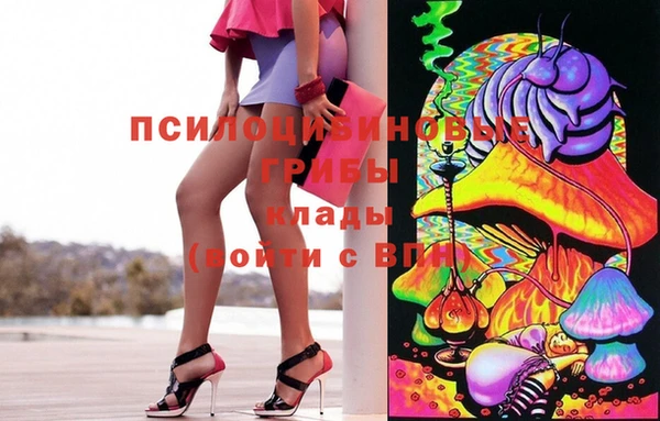 дмт Алексеевка