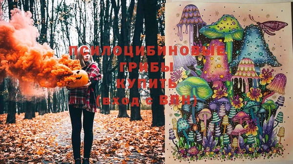 дурь Алзамай