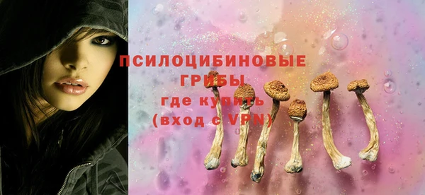 дурь Алзамай